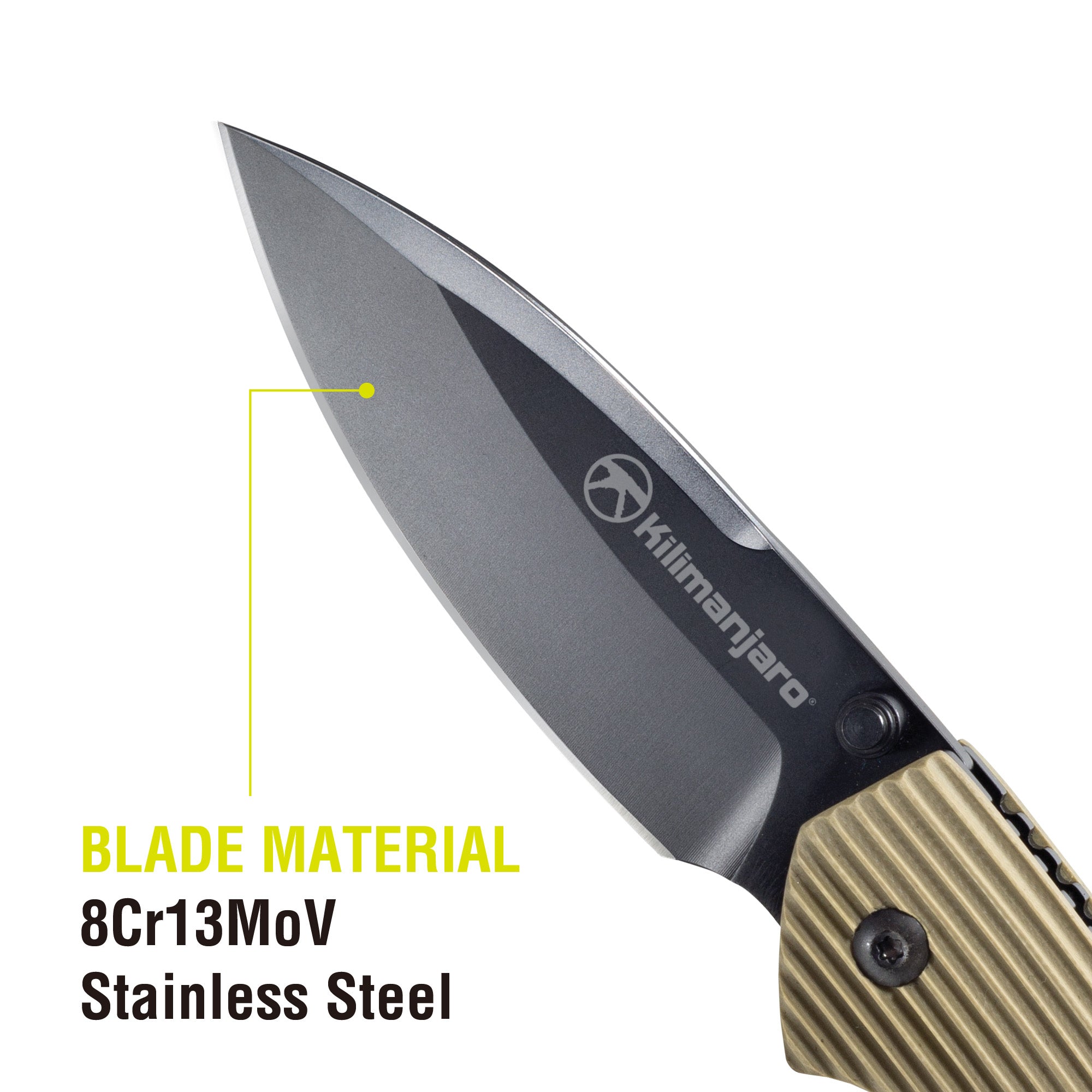 Firma 8 in. Folding Knife - Black Satin Blade