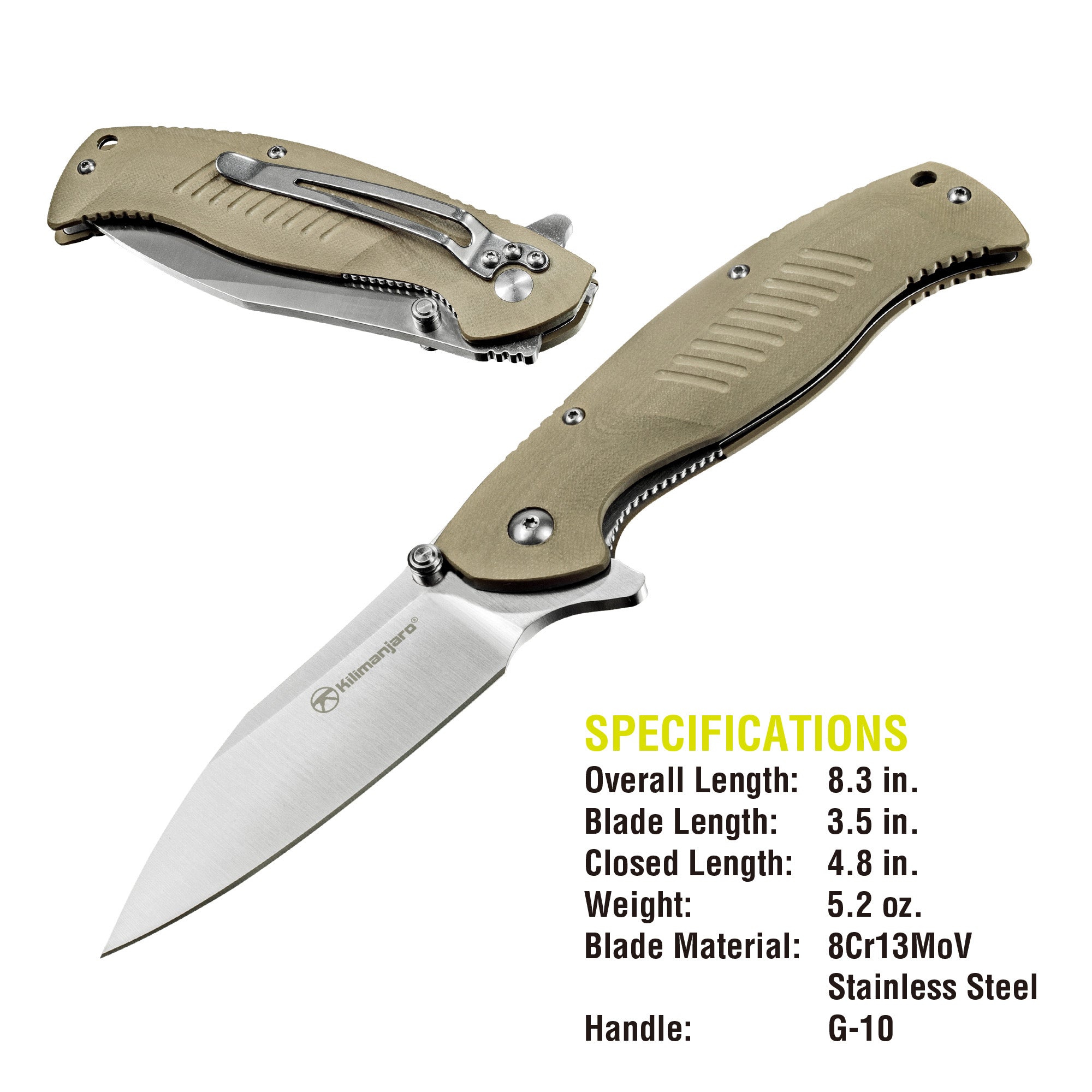 Morsa 8 in. Folding Knife - Polished Blade