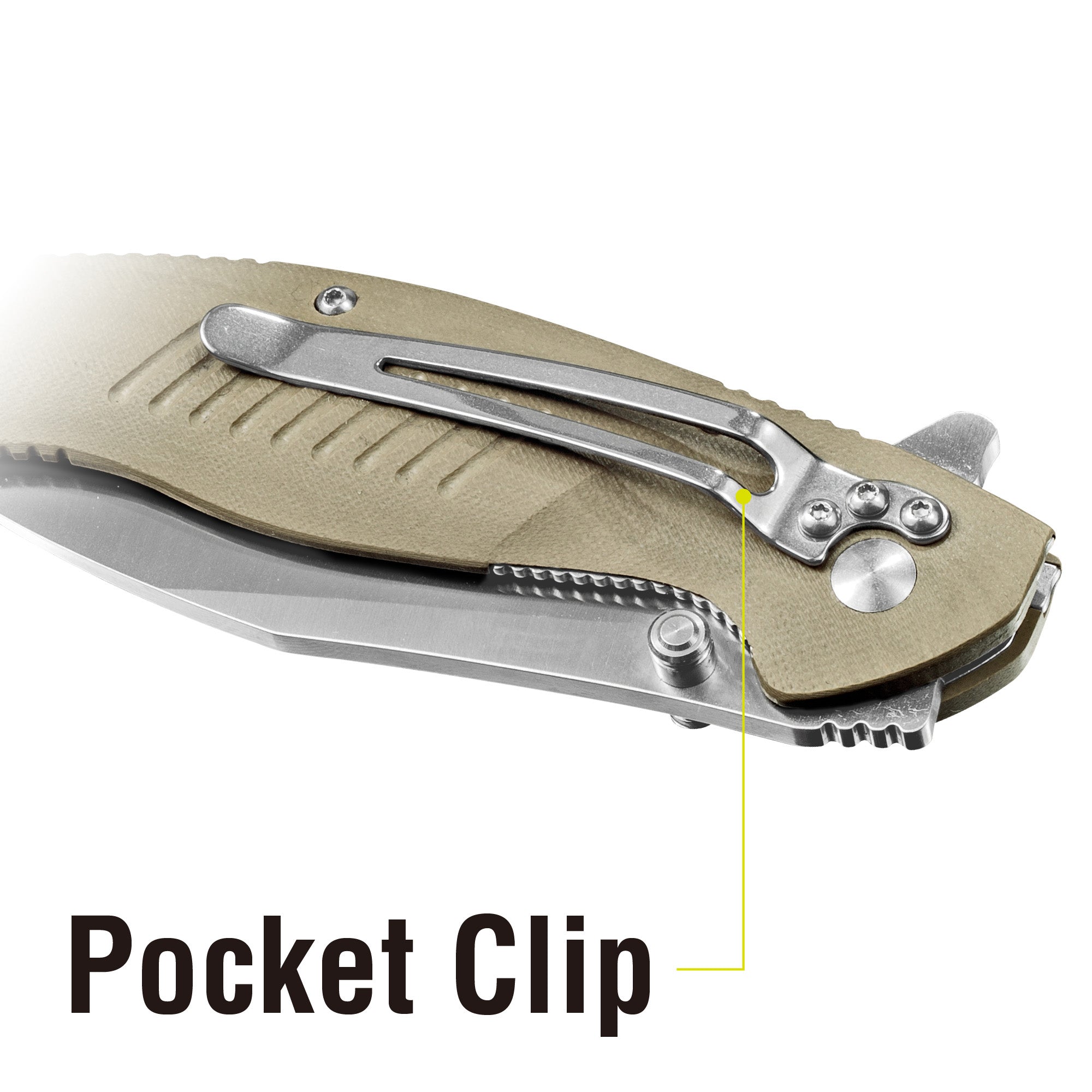 Morsa 8 in. Folding Knife - Polished Blade