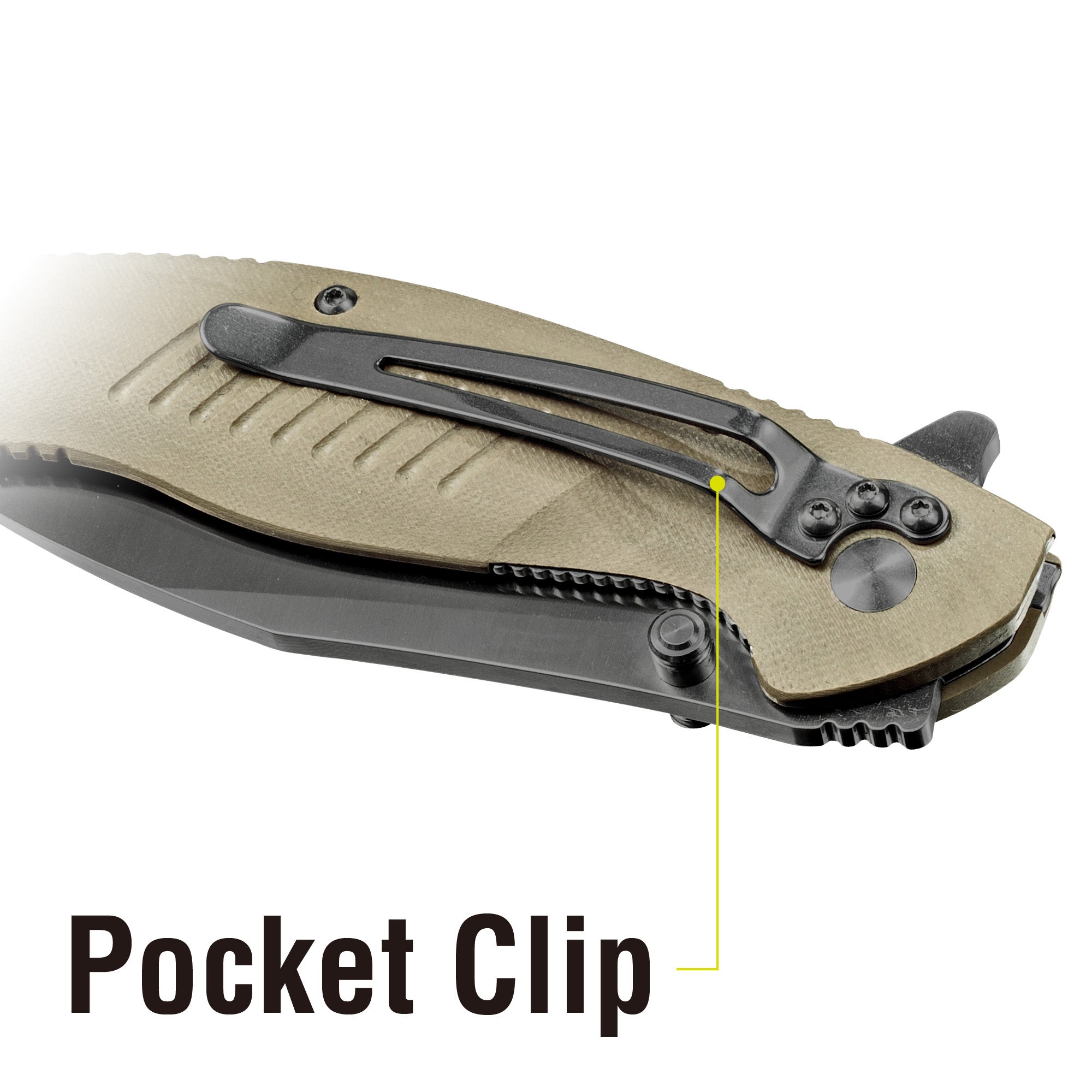 Morsa 8 in. Folding Knife - Titanium Nitride Blade