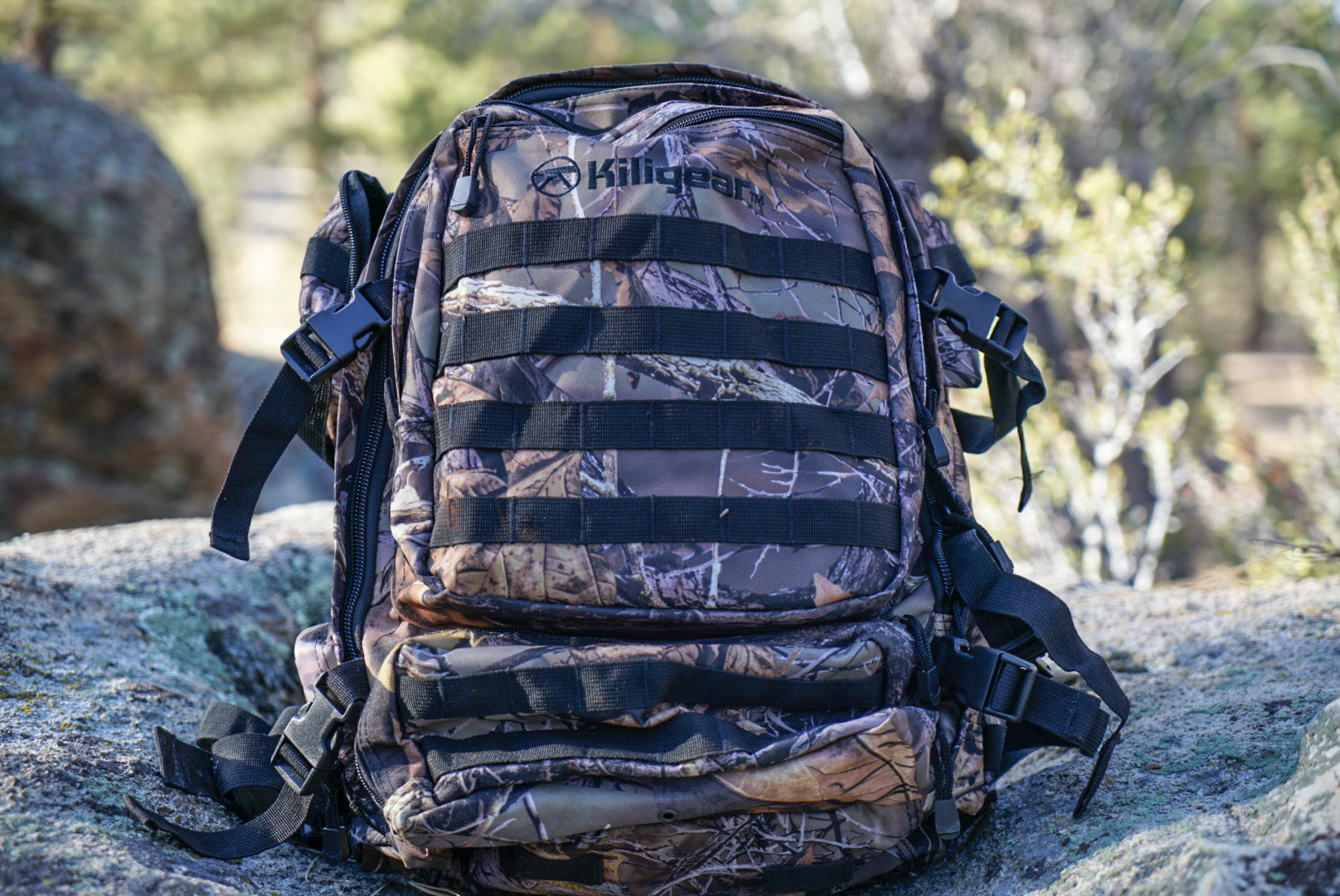 Backpacks & Bags